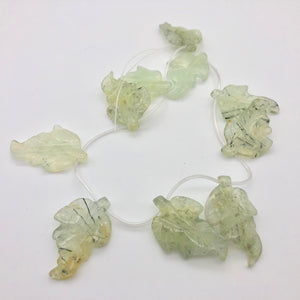 Carved Green Prehnite Leaf Briolette Bead Strand 109886C - PremiumBead Alternate Image 2