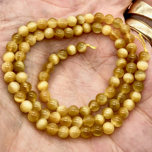 Tigereye Round Bead Half Strand | 4.5mm | Golden | 44 Bead(s)