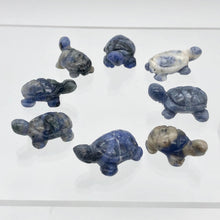 Load image into Gallery viewer, Adorable 2 Sodalite Carved Turtle Beads | 20x12.5x8mm | Blue white - PremiumBead Alternate Image 10
