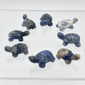 Adorable 2 Sodalite Carved Turtle Beads | 20x12.5x8mm | Blue white - PremiumBead Alternate Image 10