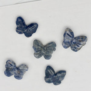 Fluttering Sodalite Butterfly Figurine Worry Stone | 21x18x7mm | Blue White - PremiumBead Alternate Image 2