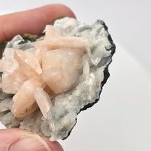 Load image into Gallery viewer, Pink Stilbite Crystals on bed of Apophyllite Collecter&#39;s Specimen | 55x48x22mm - PremiumBead Alternate Image 9
