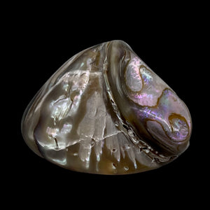 Abalone Hinge Shell | 1 Pendant Bead |