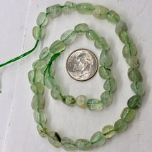 Load image into Gallery viewer, Rare Prehnite W/Epidote Needles Bead 13&quot; Strand | 9x8x7 to 7x6x6mm | 46 Beads |

