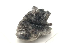 Load and play video in Gallery viewer, Raw Natural Smoky Quartz Crystal Cluster Specimen | 2.75x1.75x1.5&quot; | Smokey |
