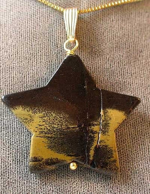 Fabulous Dendritic Jasper Star & 14Kgf Pendant! 6918F - PremiumBead Primary Image 1