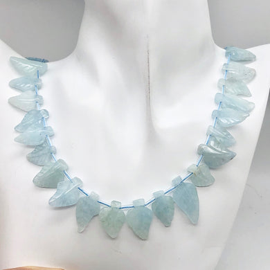 Natural Aquamarine Leaf Strand | 17x12x3 to 22x12x5mm | Blue | Leaf | 33 beads | - PremiumBead Primary Image 1