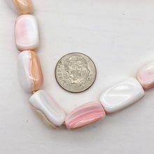 Load image into Gallery viewer, Pink Conch Shell Fold Bead 8&quot; Strand | Pink | 14x7x8mm-17x10x9mm | 13 beads - PremiumBead Alternate Image 3
