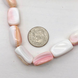 Pink Conch Shell Fold Bead 8" Strand | Pink | 14x7x8mm-17x10x9mm | 13 beads - PremiumBead Alternate Image 3