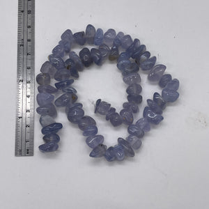 Oregon Holly Blue Chalcedony Agate 66g Nuggets | 13X10X7 15X8X8 | Blue | 64 Bead