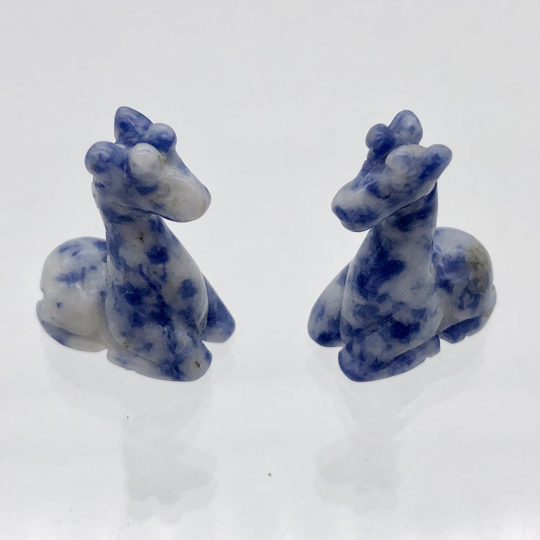 Graceful 2 Carved Sodalite Giraffe Beads | 21x16x9mm | Blue/White - PremiumBead Primary Image 1