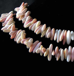 16 Pink Conch Shell 9x3x3mm to 15x4x3mm Spike Beads 009461B - PremiumBead Primary Image 1