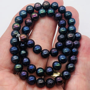 Fresh Water Pearl Strand Round | 8 mm | Blue/Purple | 54 Beads |
