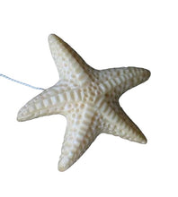 Load image into Gallery viewer, Splash Starfish Carved Waterbuffalo Bone Button 009700G | 33x31.5x7mm | Bone
