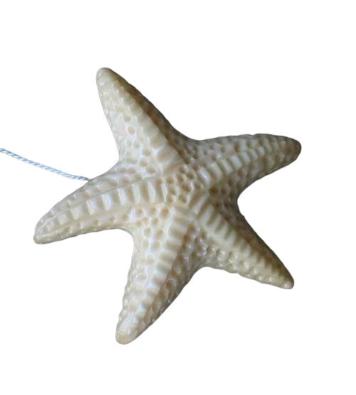 Splash Starfish Carved Waterbuffalo Bone Button 009700G | 33x31.5x7mm | Bone