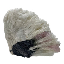 Load image into Gallery viewer, Watermelon Tourmaline Crystal |45x54x44mm|Purple Black White| 1 Display Specimen
