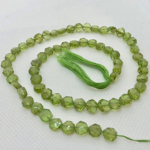 4 Sparkling Faceted Natural Peridot Coin Beads5777 - PremiumBead Alternate Image 3