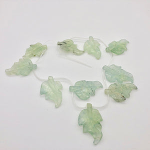 Carved Green Prehnite Leaf Briolette Bead Strand 109886A - PremiumBead Alternate Image 2