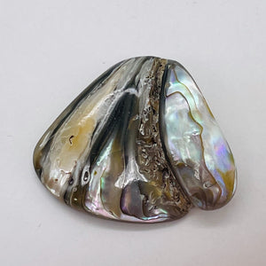Abalone Hinge Shell | 33x37x10mm | Silver Pink | 1 Pendant Bead |
