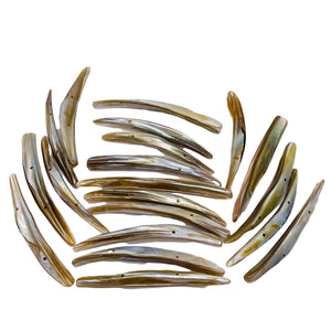 20 Bronze Mussel Shell Double Drill Plank Beads 008096