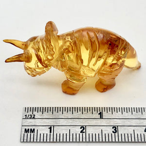 Amber Triceratops | 47x24x14 | Amber | 1 Figurine