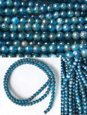 17 Blue Apatite 4mm Round Beads 008889A - PremiumBead Primary Image 1