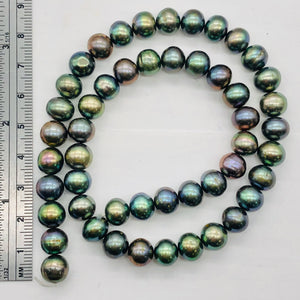 Fresh Water Pearl Strand Round | 9 mm | Blue/Bronze | 50 Beads |