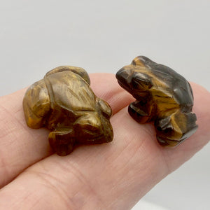 Prosperity 2 Hand Carved Tigereye Frog Beads | 22x17x10mm | Brown Gold - PremiumBead Alternate Image 2