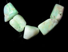 Load image into Gallery viewer, 365cts 5 Designer Natural Chrysoprase (New Zealand Jade) Beads 008491I - PremiumBead Alternate Image 3
