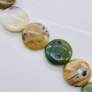 Ocean Jasper Graduated Round | 25x8 to 23x8 mm | Multi-color | 17 Beads
