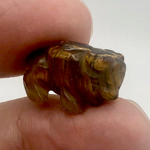 Carved Tiger Eye Buffalo Figurine Worry Stone | 21x14x8mm | Golden - PremiumBead Primary Image 1