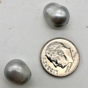 2 Hot 12-13mm Platinum Freshwater Pearls for Jewelry Making - PremiumBead Alternate Image 6