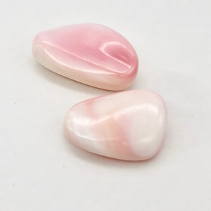 Conch Shell. Pear Shape | 27x19x8 to 28x22x10 | Pink White | 8 Bead(s)