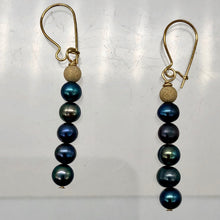 Load image into Gallery viewer, Shinning Teal Fresh Water Pearl 14K Gold Filled Earrings | 2&quot; long |
