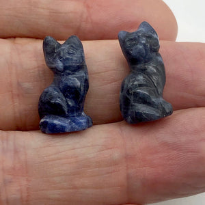 Adorable! 2 Sodalite Sitting Carved Cat Beads | 21x14x10mm | Blue white