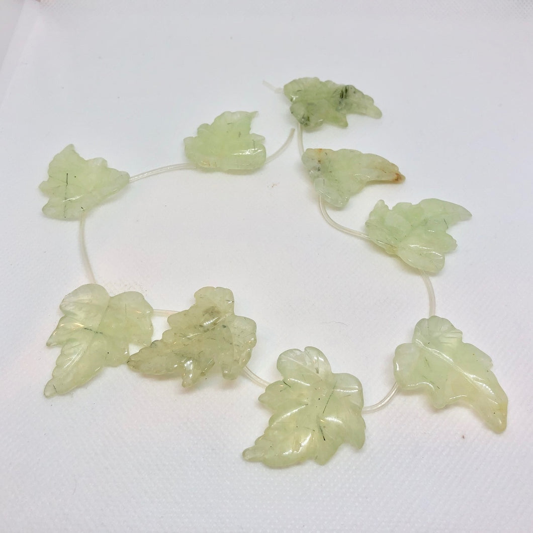 Druzy Green Prehnite Leaf Briolette Bead Strand 110532D - PremiumBead Primary Image 1