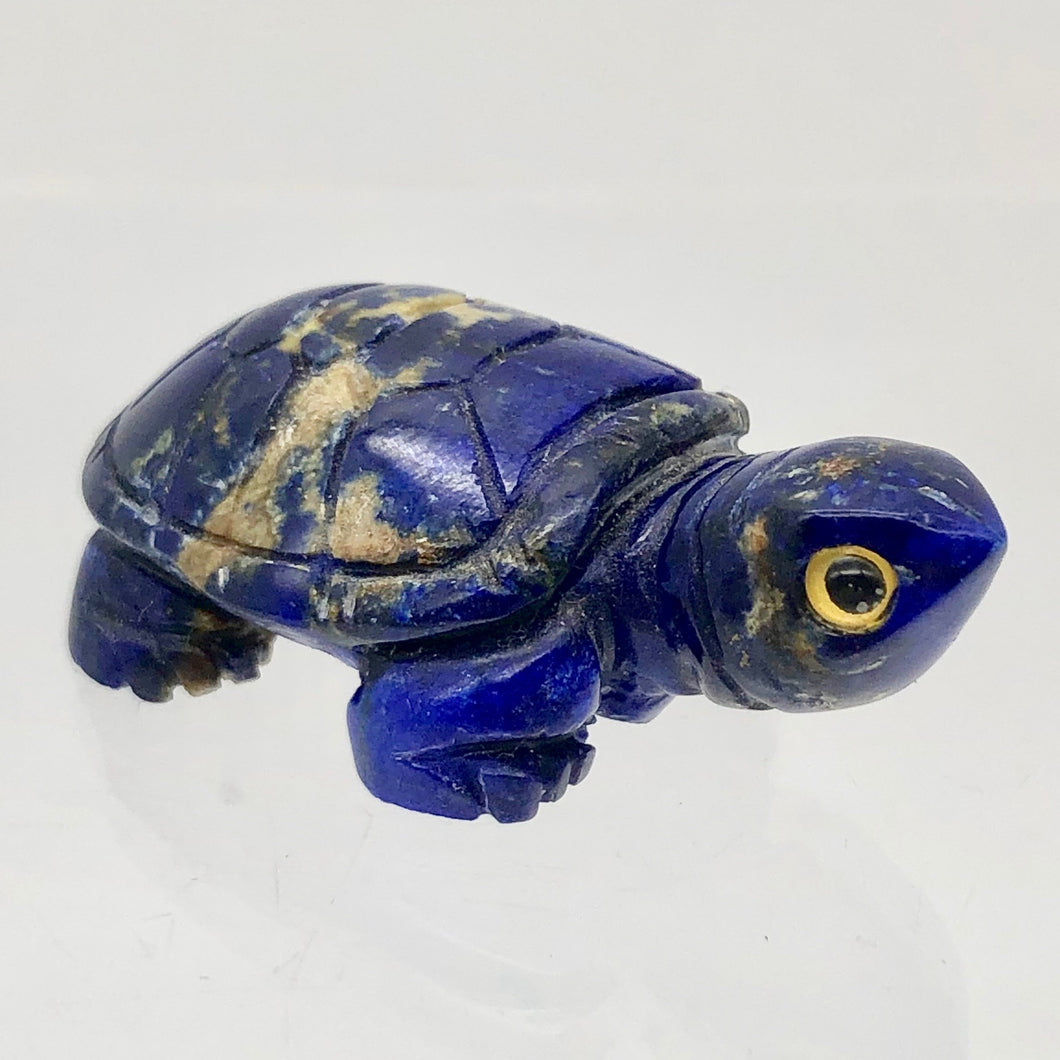 Natural Lapis Turtle Figurine or Pendant |40x21x13mm | Blue | 79.4 carats - PremiumBead Primary Image 1