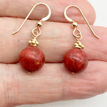 Load image into Gallery viewer, Red Sponge Coral 11mm Round Drop/Dangle Earrings | 1 3/8&quot; Long | Red | 1 Pair |
