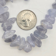 Load image into Gallery viewer, Oregon Holley Blue Chalcedony Agate Nugget Bead Strand - PremiumBead Alternate Image 10
