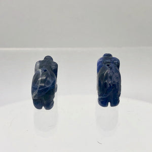 Wild 2 Hand Carved Sodalite Elephant Beads | 22.5x21x10mm | Blue white - PremiumBead Alternate Image 9