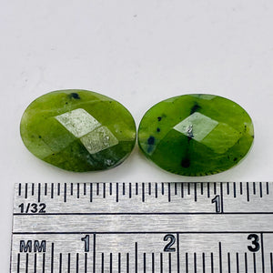 2 Intense 14x10x6mm Nephrite Jade Faceted Focal Beads 2482