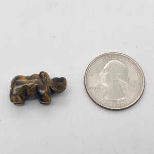 2 Tiger Eye Hand Carved Rhinoceros Beads, 21x13x10mm, Golden 009275TE | 21x13x10mm | Golden - PremiumBead Alternate Image 4