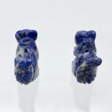 Load image into Gallery viewer, Nuts 2 Hand Carved Animal Sodalite Squirrel Beads | 22x15x10mm | Blue - PremiumBead Alternate Image 8
