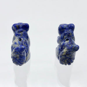 Nuts 2 Hand Carved Animal Sodalite Squirrel Beads | 22x15x10mm | Blue - PremiumBead Alternate Image 8