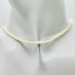 Natural Creamy White Coral Bead Strand 110454