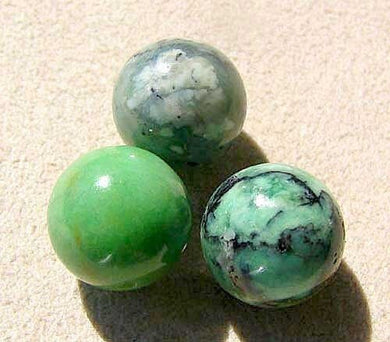 3 Beads of 11-10mm Minty Green American Turquoise Rounds 7416 - PremiumBead Primary Image 1