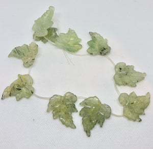 Fab Green Prehnite Leaf Briolette Bead Strand 110532F - PremiumBead Primary Image 1