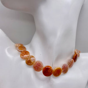 Snakeskin/Crab Fire Agate Focal Bead Strand 108958