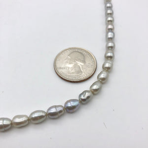 Silvery Platinum Freshwater Pearl Strand | 8x6-6.5x5mm | ~55 pearls | 110864 - PremiumBead Alternate Image 3