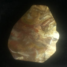 Load image into Gallery viewer, Fossilized Wood Irregular Flat Briolette | 45x38x7mm | Brown/White | 1 Pendant Bead
